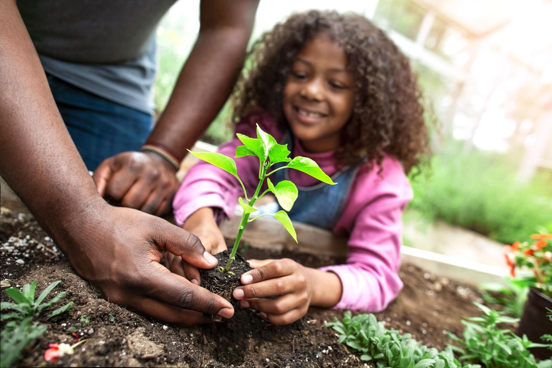 African-American father and daughter holding small seedling at community garden nursery