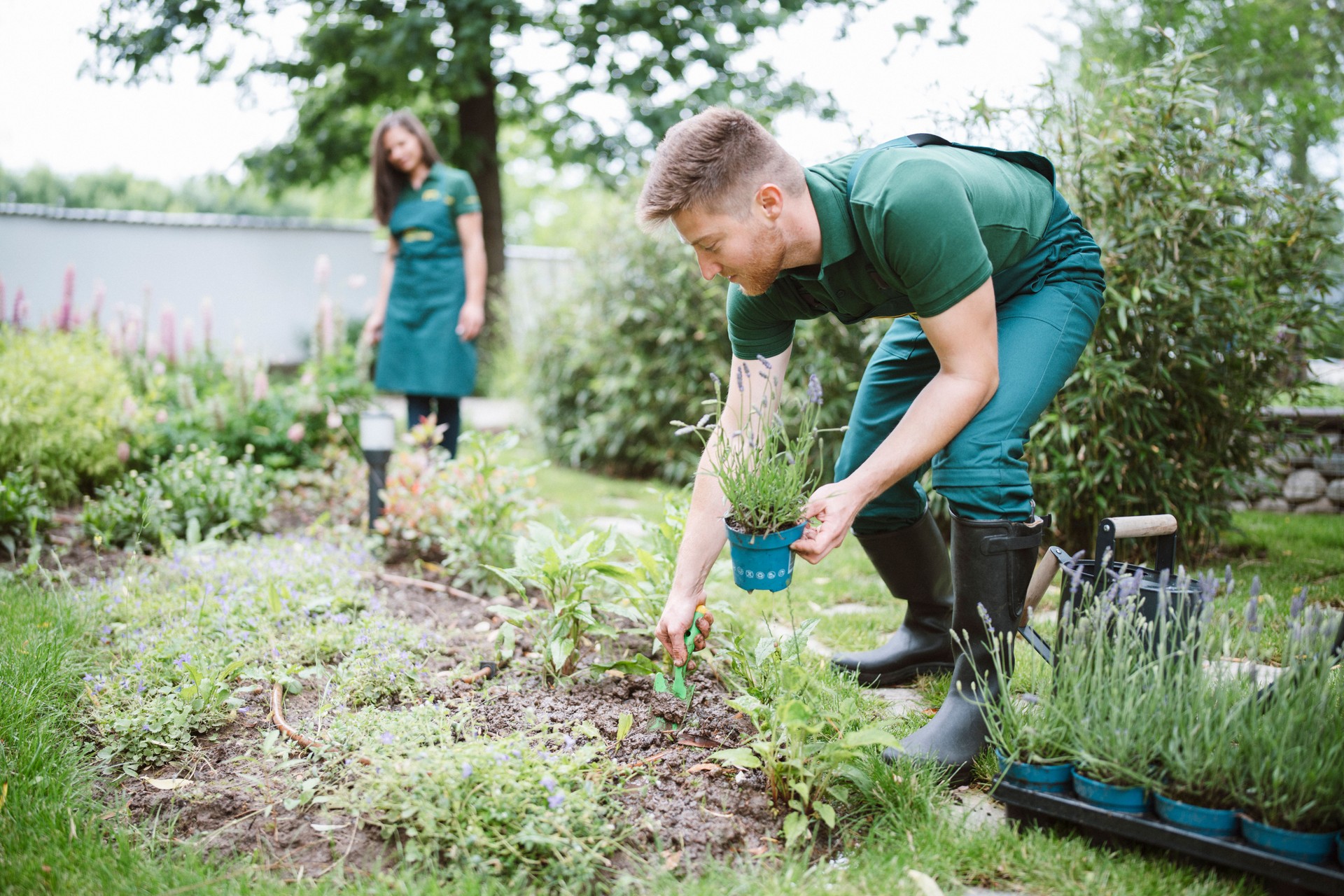 Gardeners planting flowers